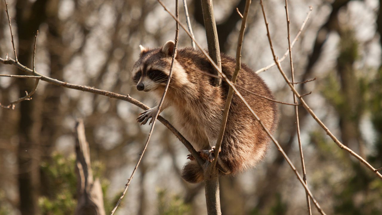 zoom-erlebniswelt-gelsenkirchen-2011-003