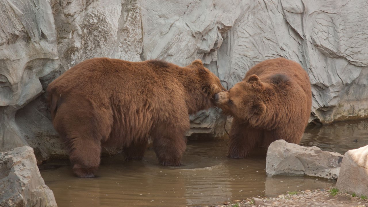 zoom-erlebniswelt-gelsenkirchen-2011-004