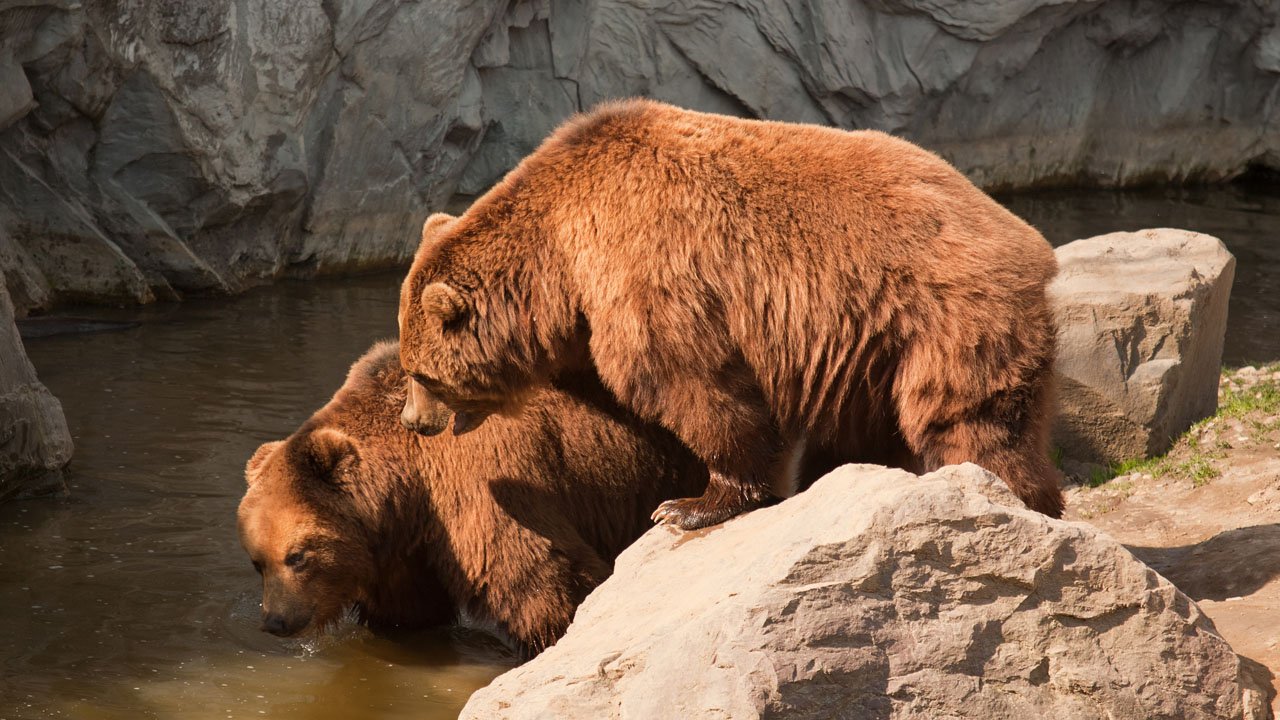 zoom-erlebniswelt-gelsenkirchen-2011-005