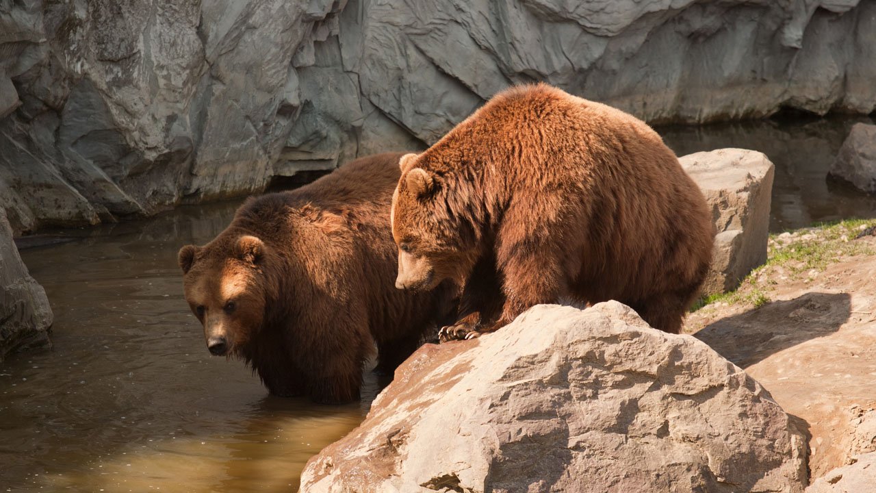 zoom-erlebniswelt-gelsenkirchen-2011-006