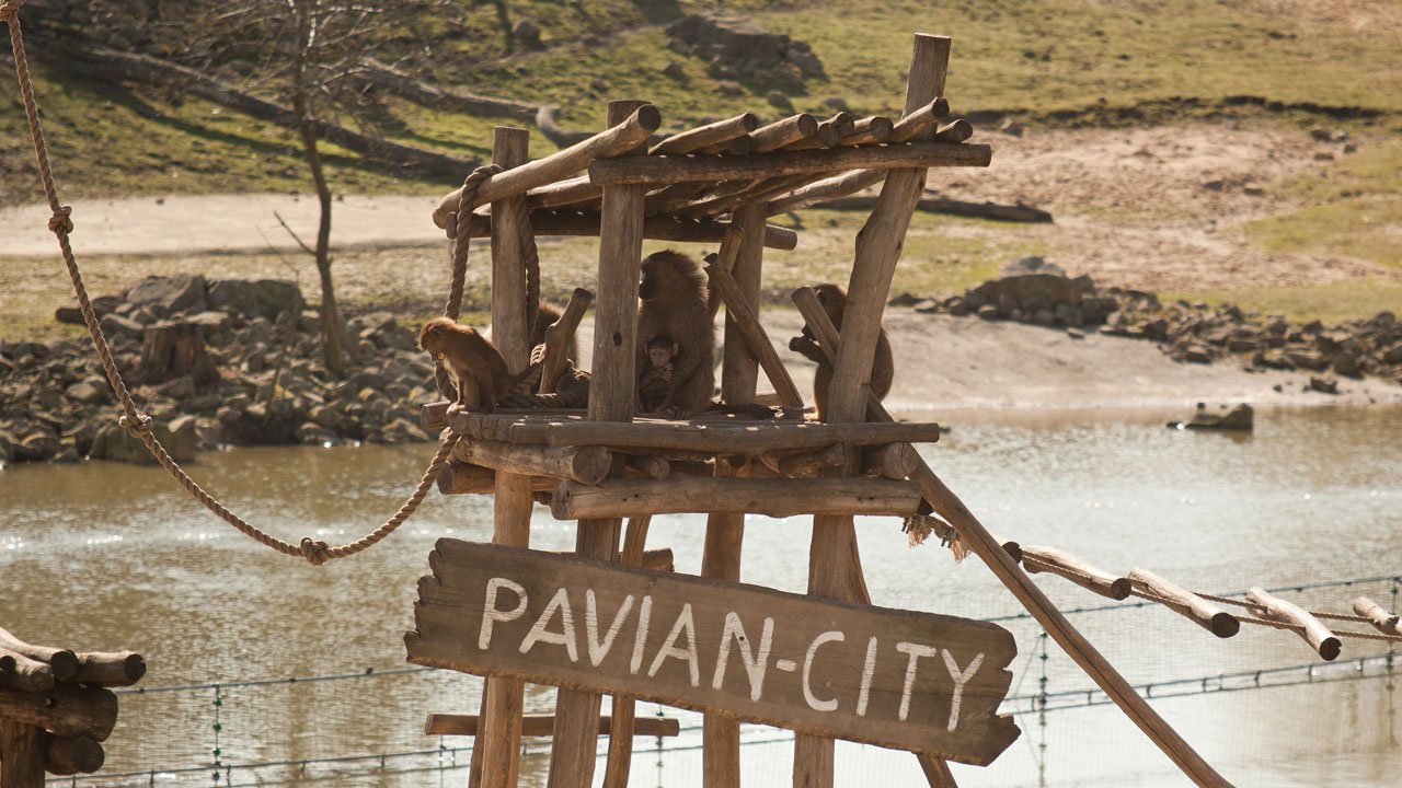 zoom-erlebniswelt-gelsenkirchen-2011-007