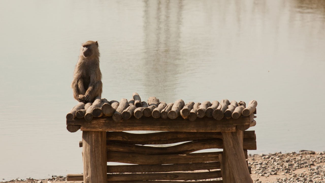 zoom-erlebniswelt-gelsenkirchen-2011-008
