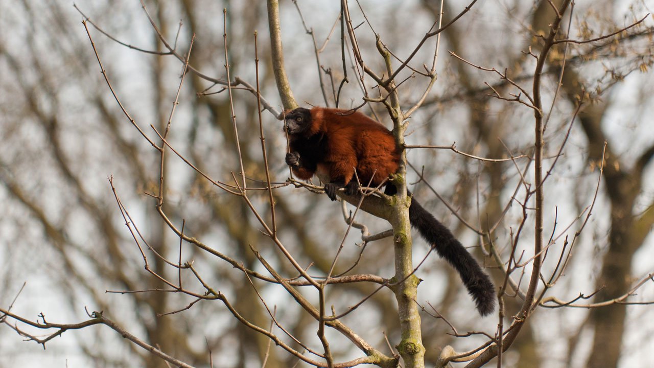 zoom-erlebniswelt-gelsenkirchen-2011-012