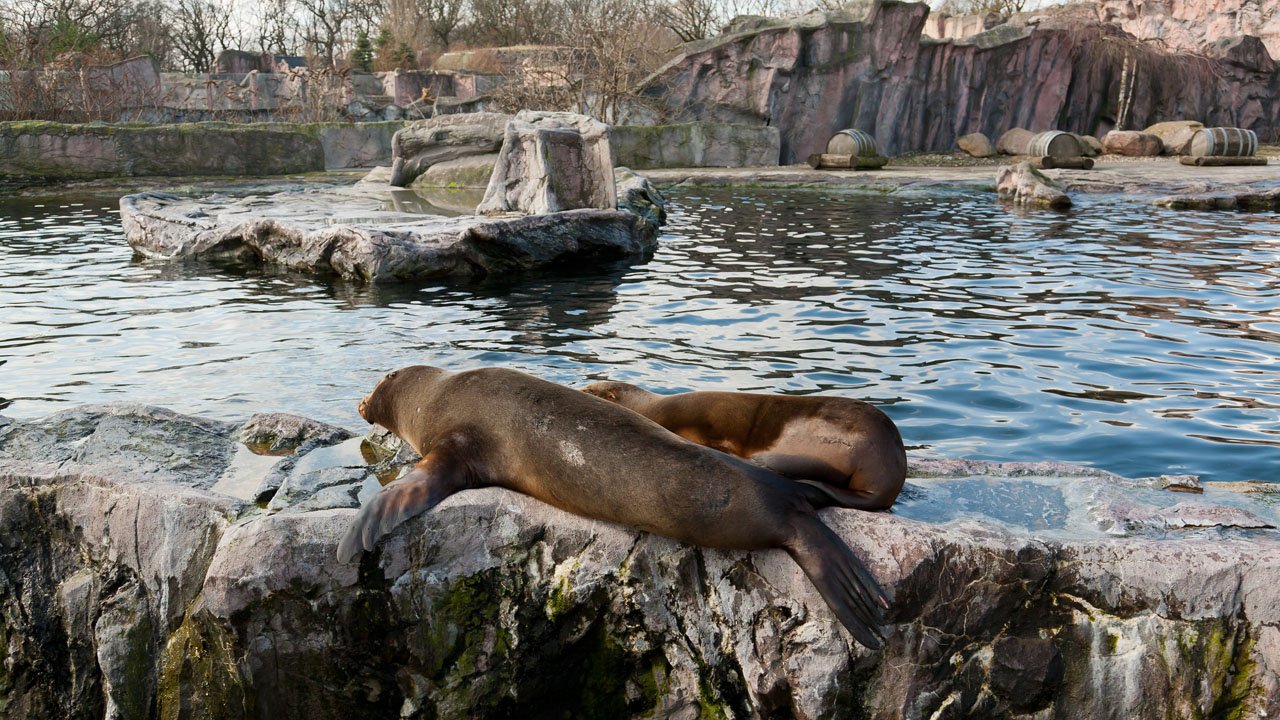 zoom-erlebniswelt-gelsenkirchen-2012-006