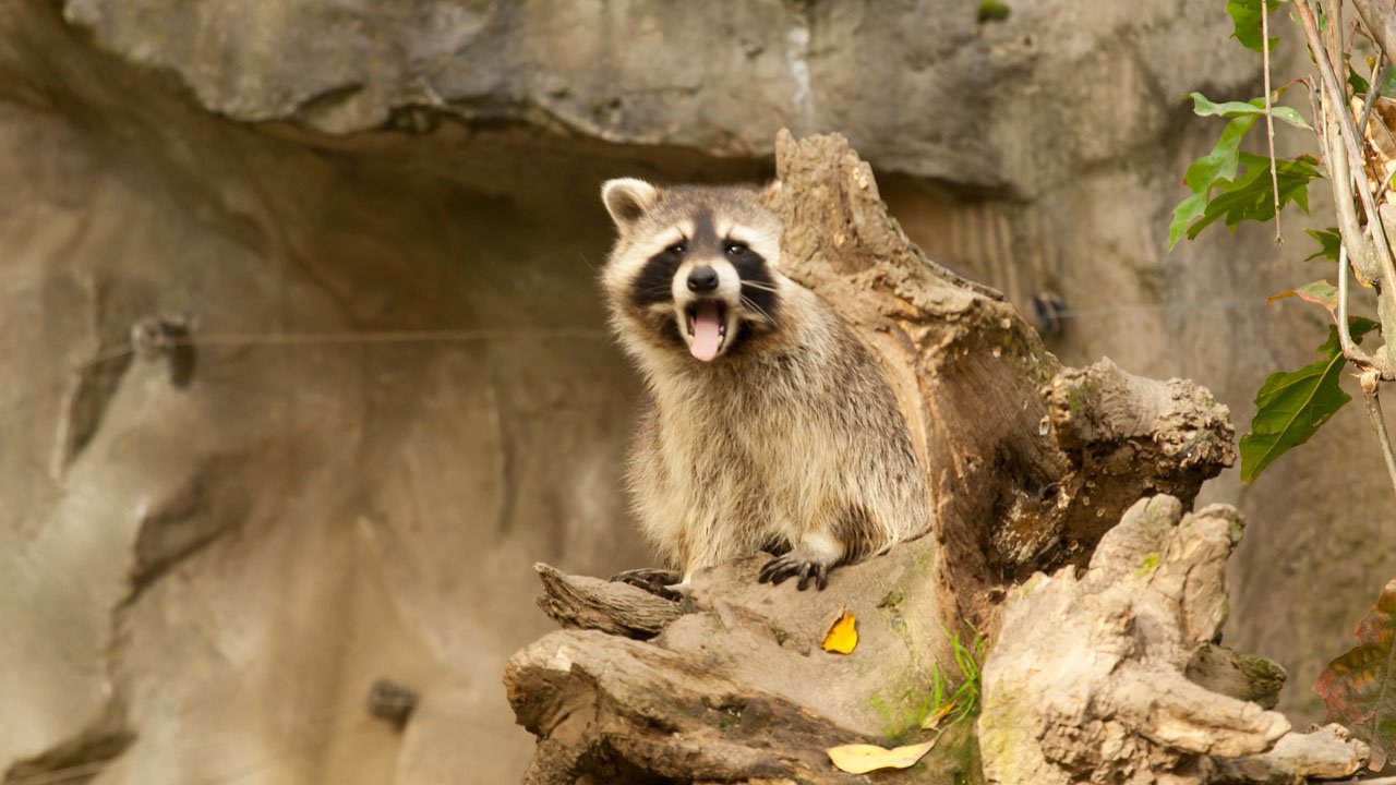 zoom-erlebniswelt-gelsenkirchen-2012-010