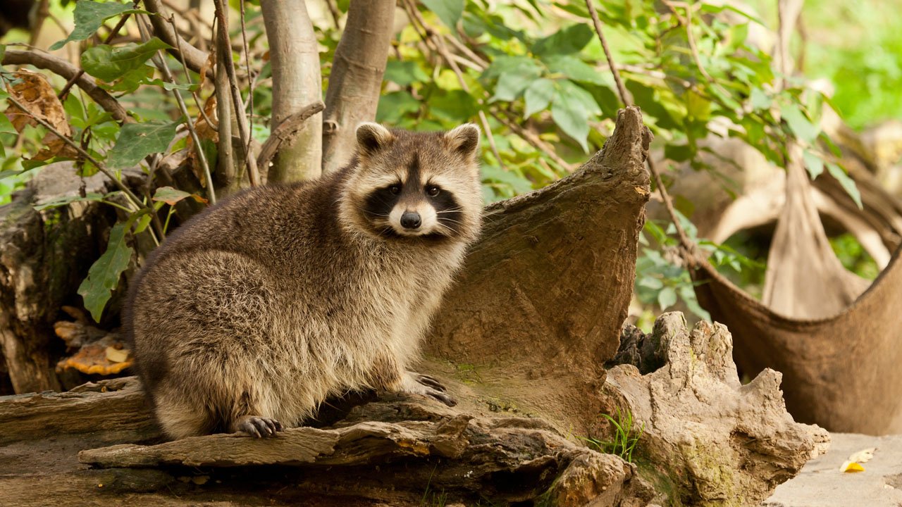 zoom-erlebniswelt-gelsenkirchen-2012-011