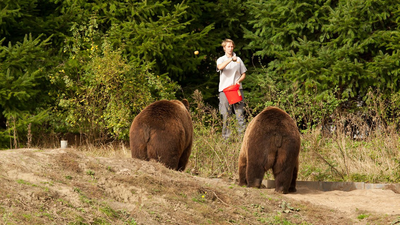 zoom-erlebniswelt-gelsenkirchen-2012-012