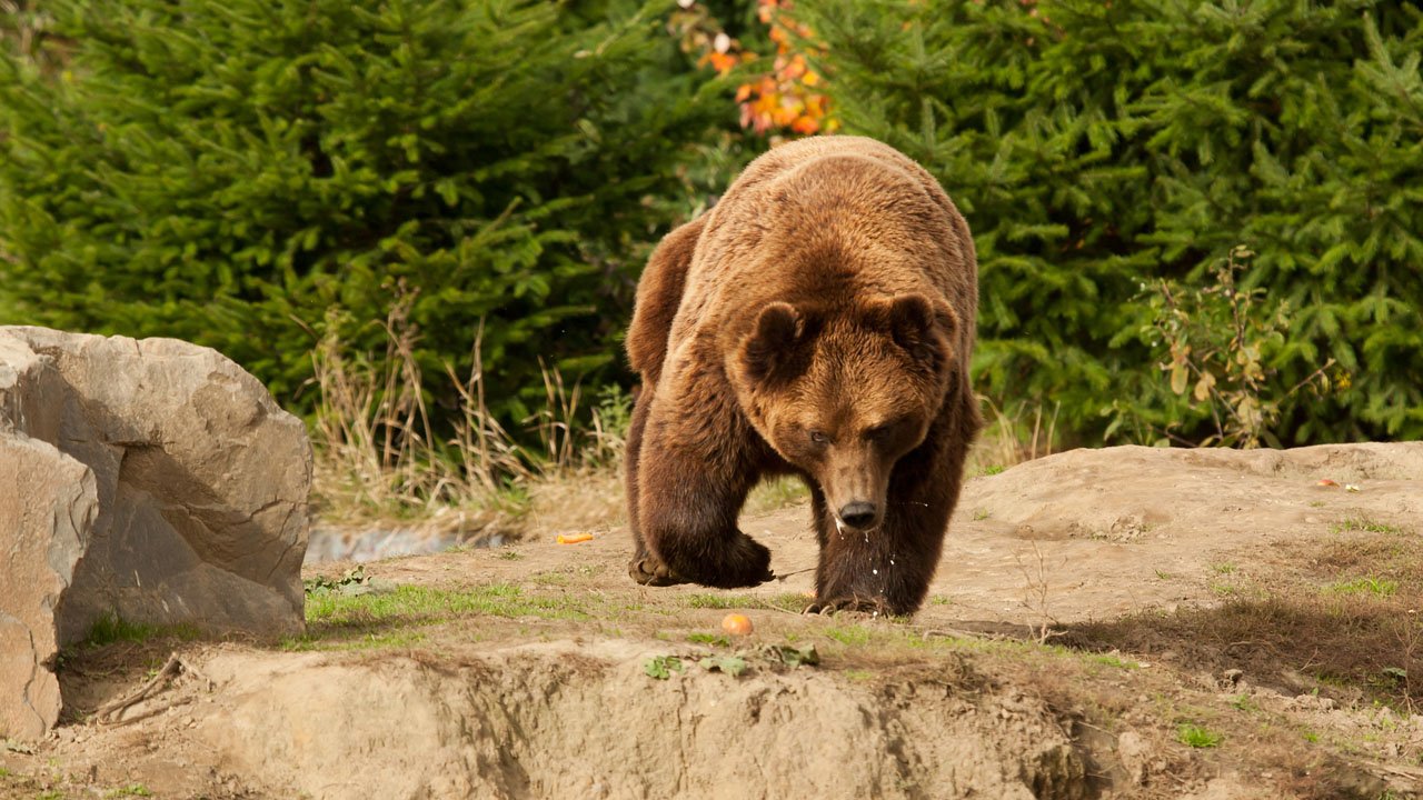 zoom-erlebniswelt-gelsenkirchen-2012-013