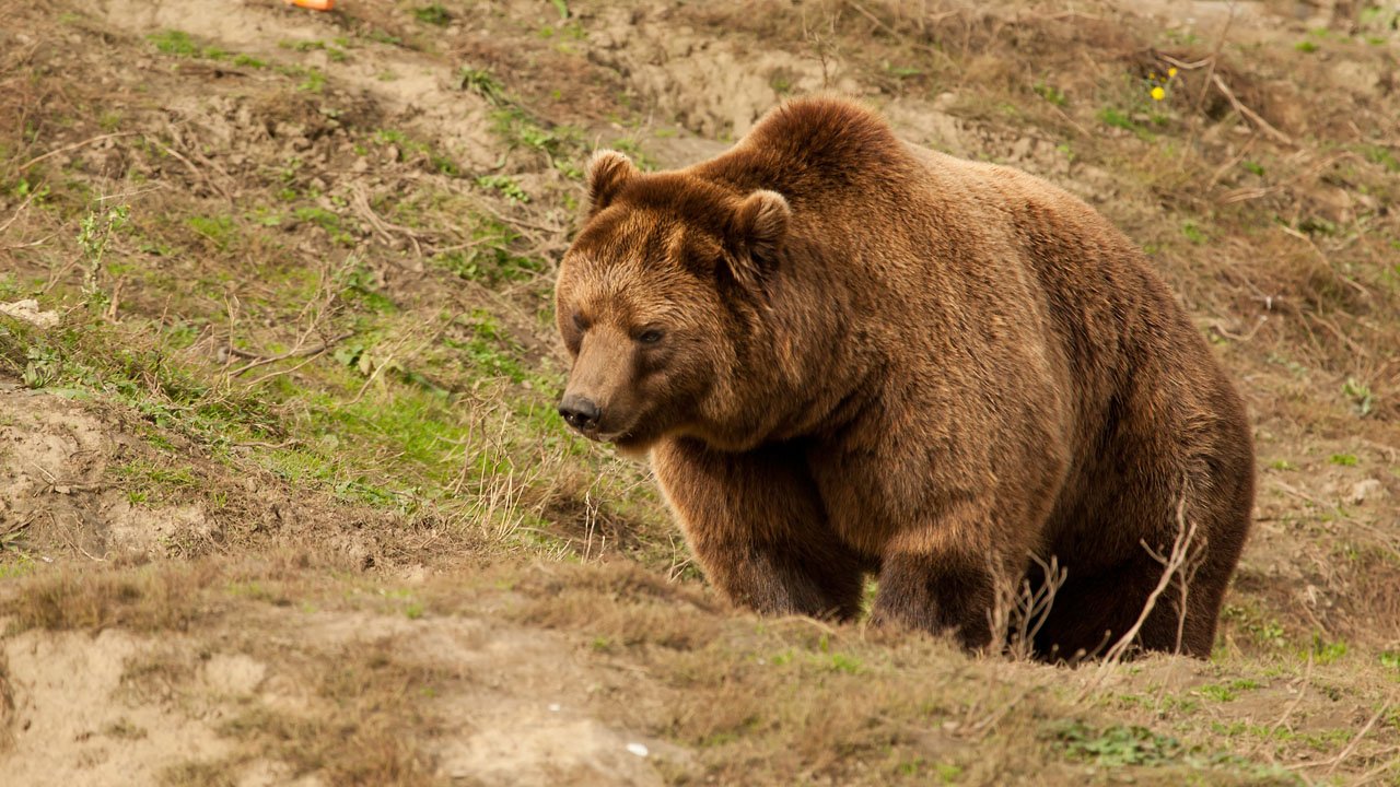 zoom-erlebniswelt-gelsenkirchen-2012-014