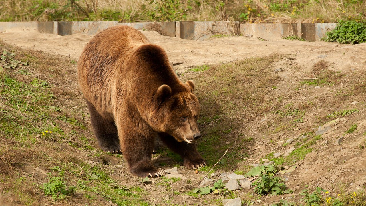 zoom-erlebniswelt-gelsenkirchen-2012-015