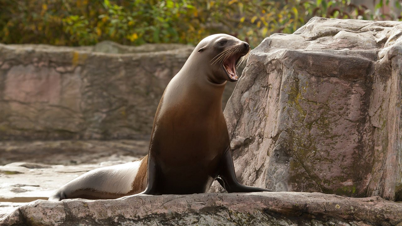 zoom-erlebniswelt-gelsenkirchen-2012-016