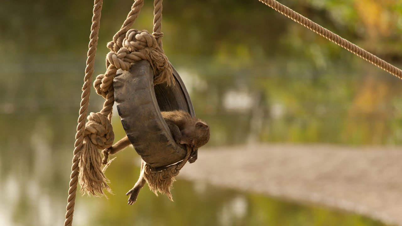 zoom-erlebniswelt-gelsenkirchen-2012-020