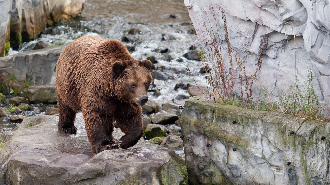 zoom-erlebniswelt-gelsenkirchen-2013-004