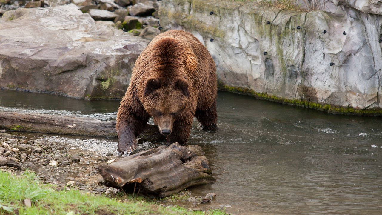 zoom-erlebniswelt-gelsenkirchen-2013-005