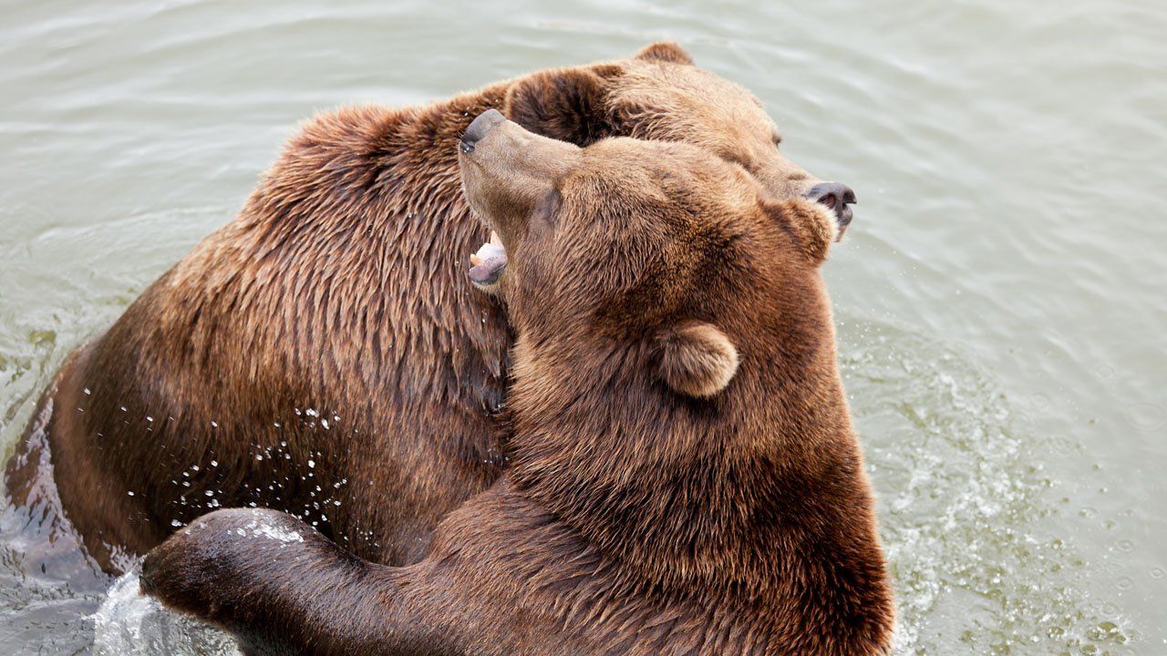 zoom-erlebniswelt-gelsenkirchen-2013-007