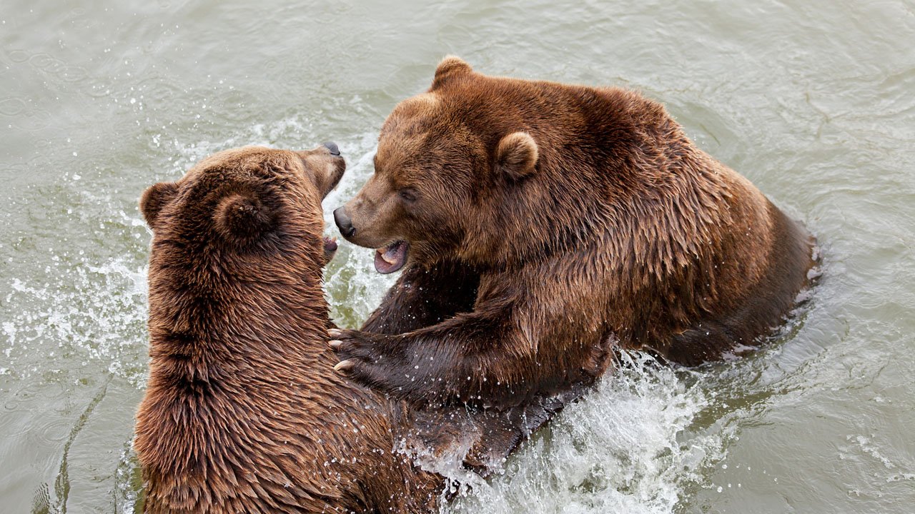 zoom-erlebniswelt-gelsenkirchen-2013-010