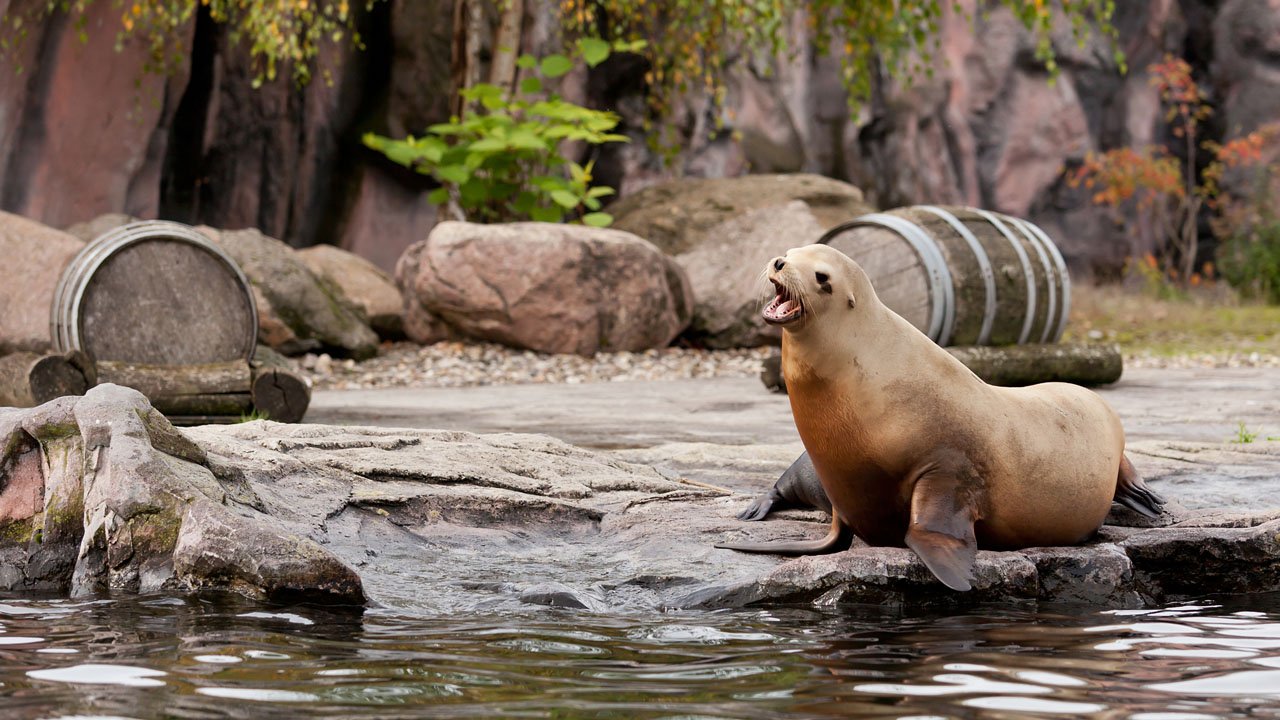 zoom-erlebniswelt-gelsenkirchen-2013-011