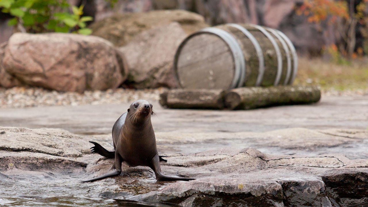 zoom-erlebniswelt-gelsenkirchen-2013-013