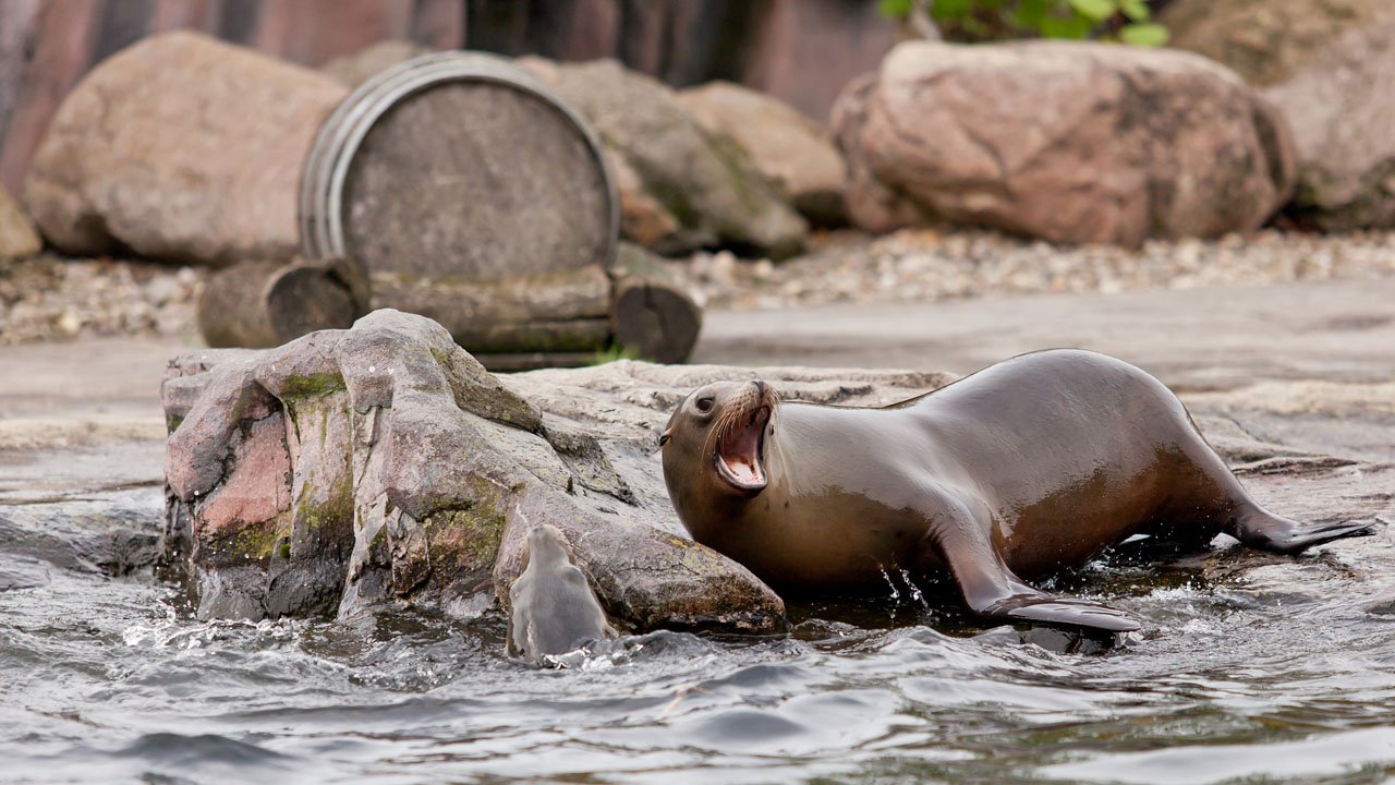 zoom-erlebniswelt-gelsenkirchen-2013-016