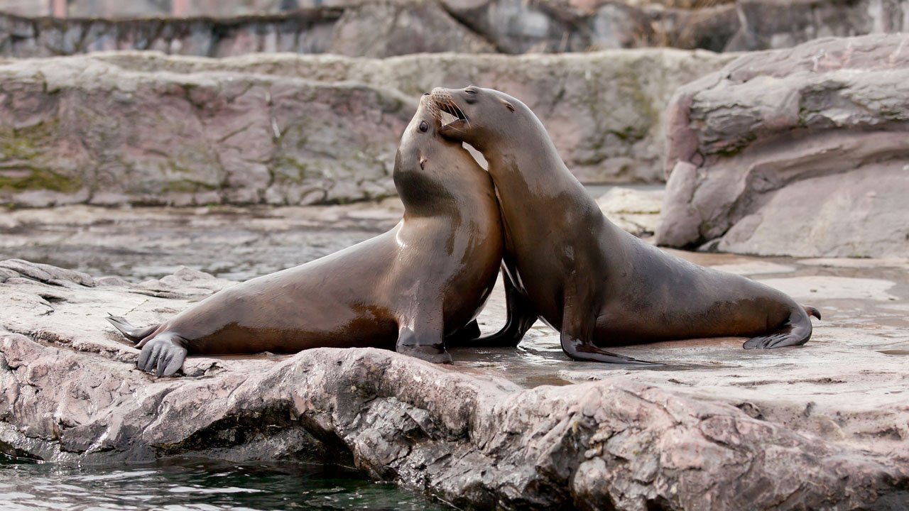 zoom-erlebniswelt-gelsenkirchen-2013-021