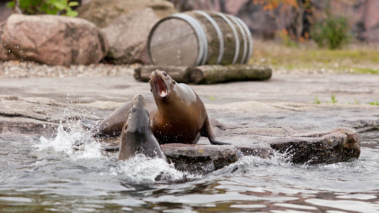 zoom-erlebniswelt-gelsenkirchen-2013-022