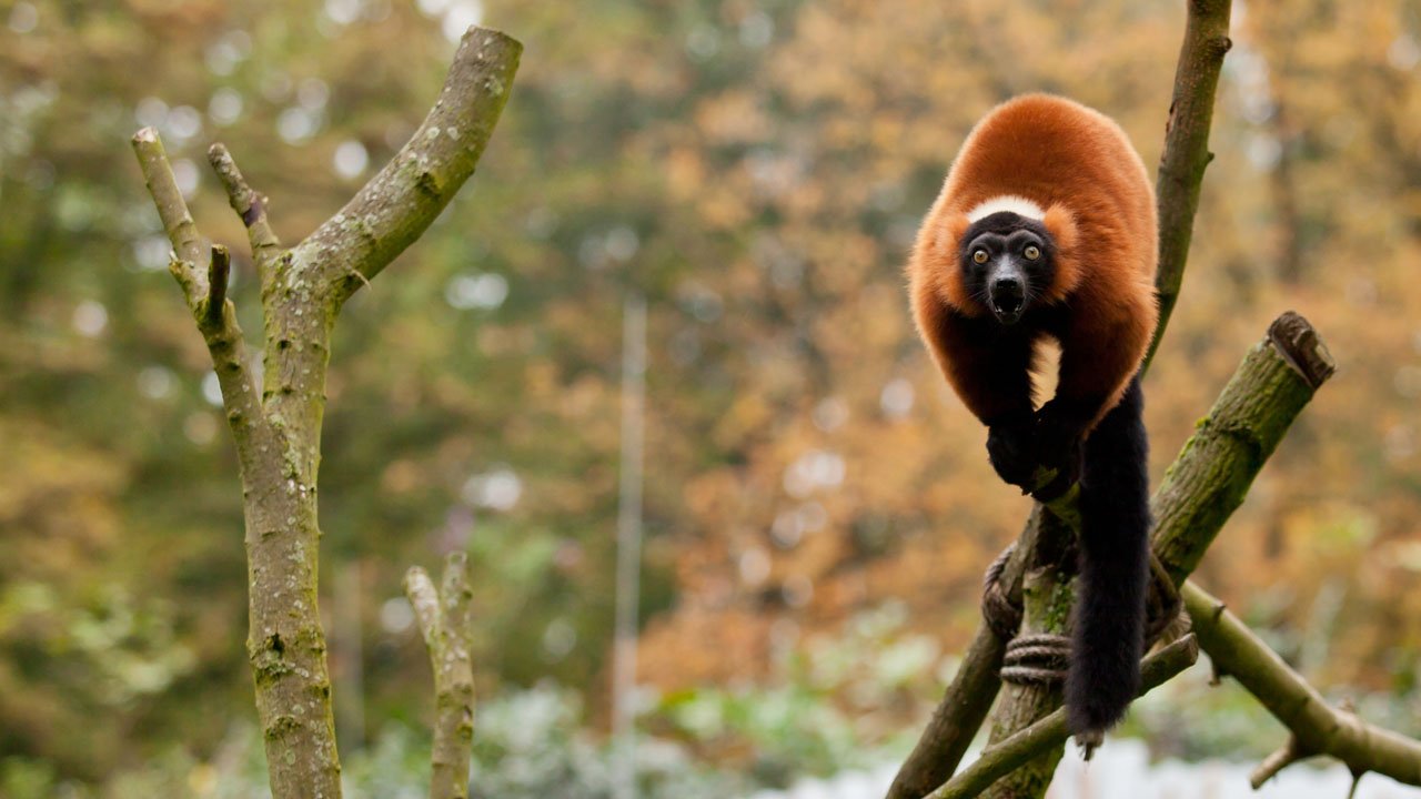 zoom-erlebniswelt-gelsenkirchen-2013-024