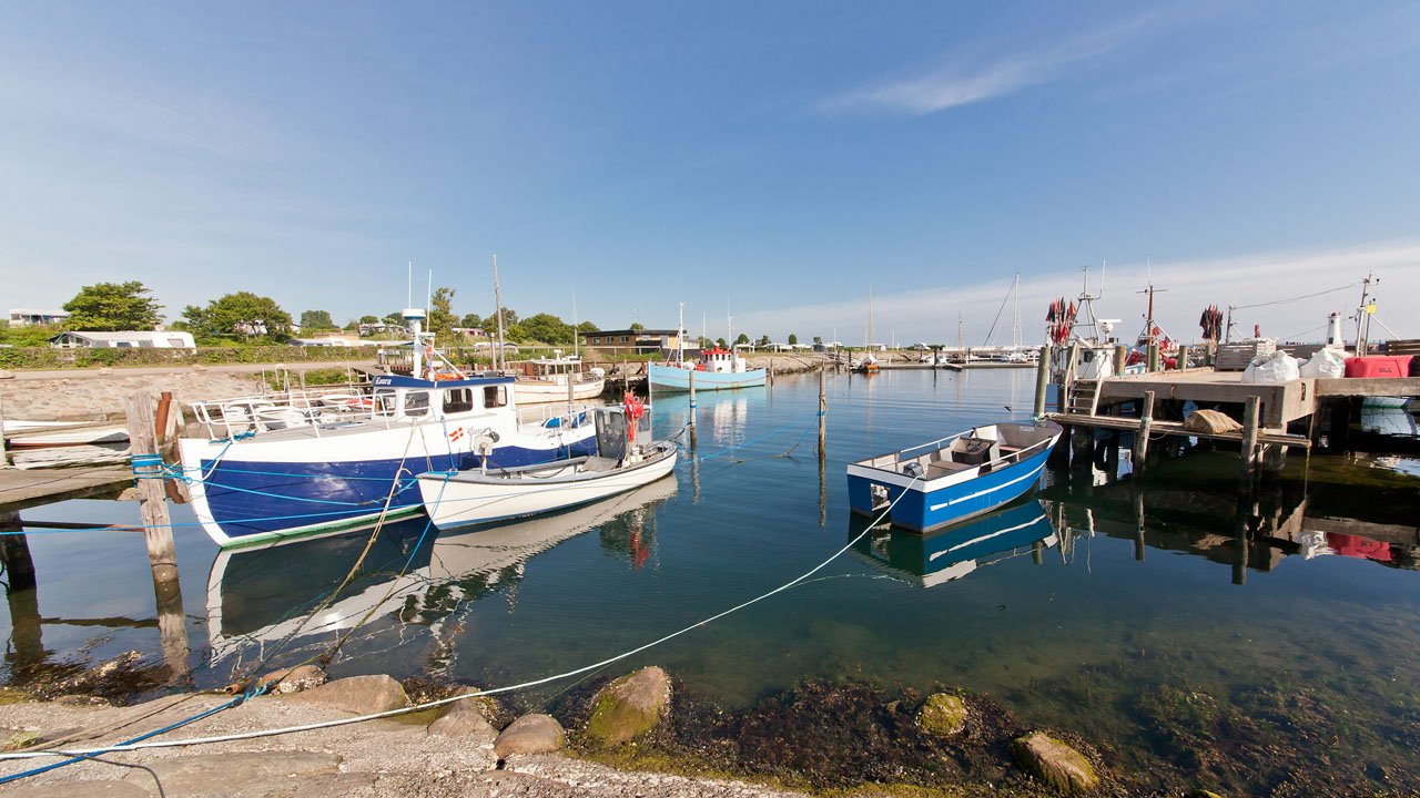 segeln-daenemark-macalee-2013-013