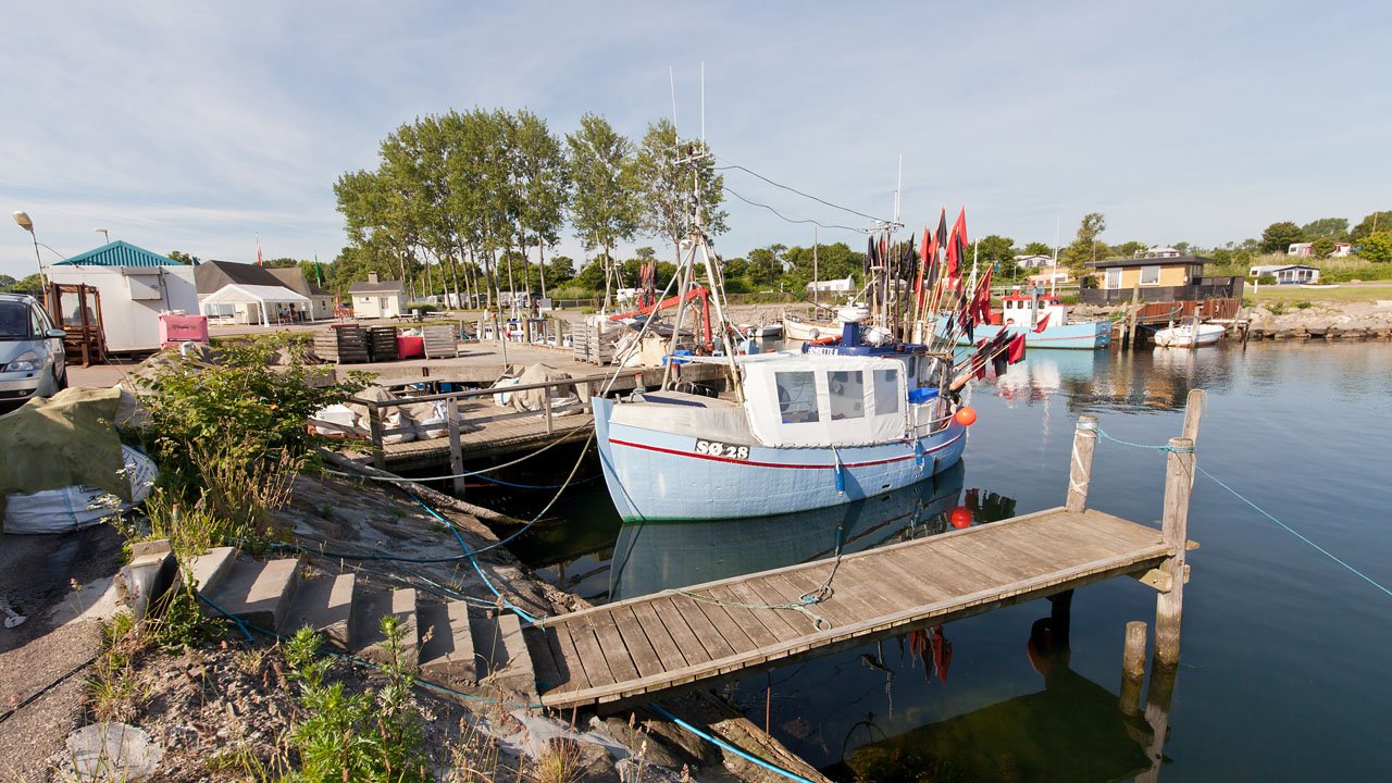 segeln-daenemark-macalee-2013-014