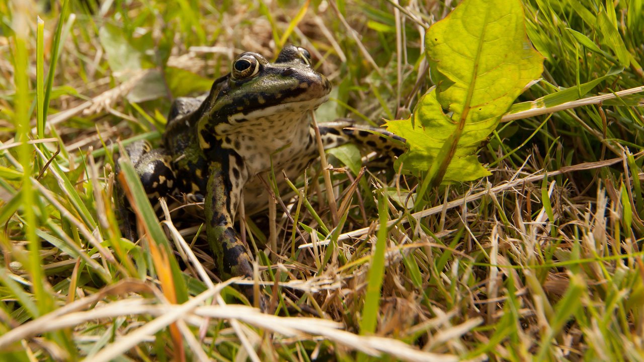 segeln-daenemark-macalee-2013-024