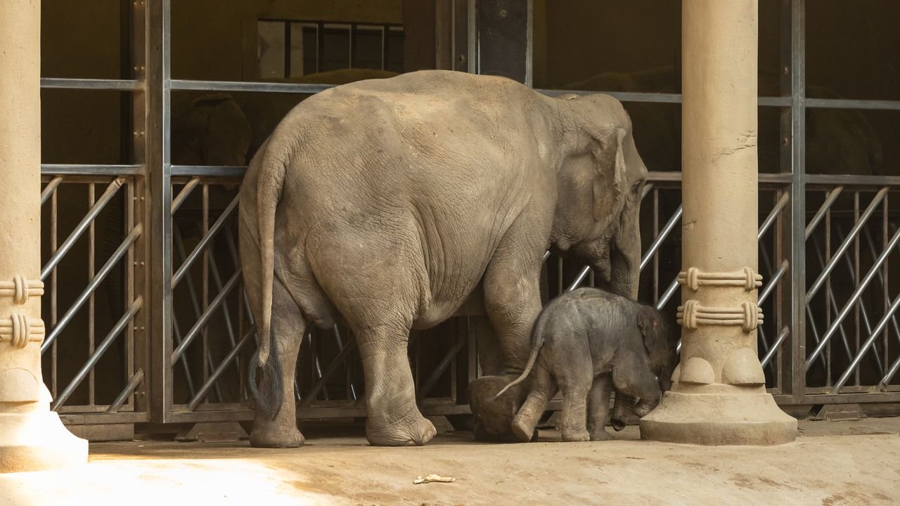 Hafengeburtstag-2018-034