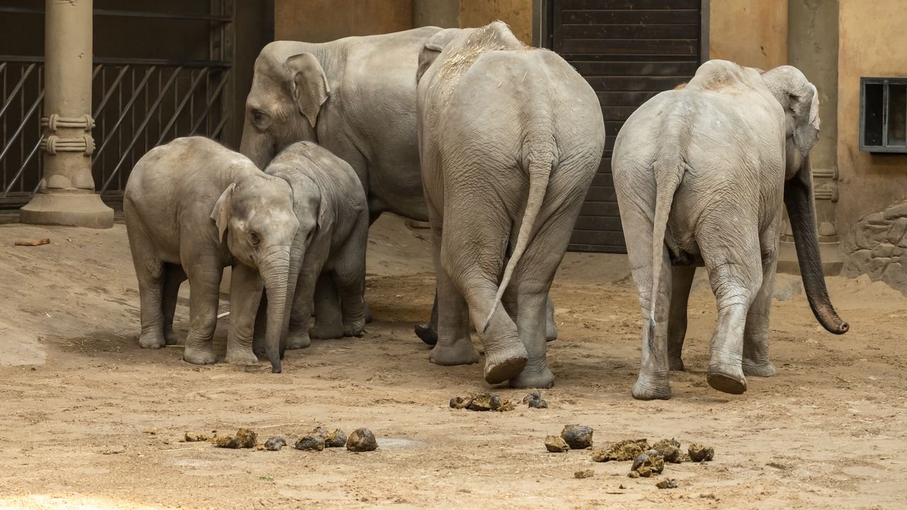 Hafengeburtstag-2018-035