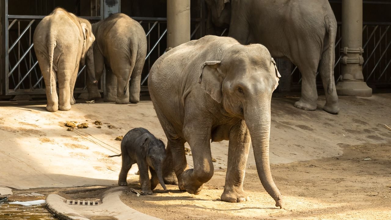Hafengeburtstag-2018-036