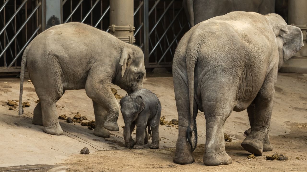 Hafengeburtstag-2018-039