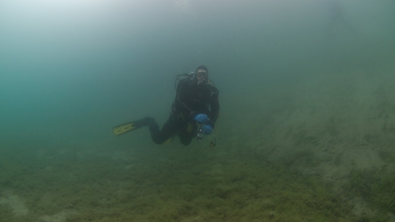 hemmoor-kreidesee-2011-010