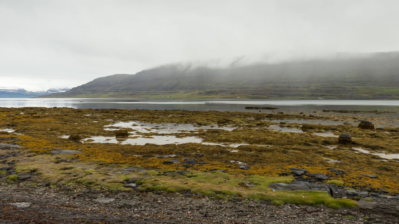 Island-2018-106