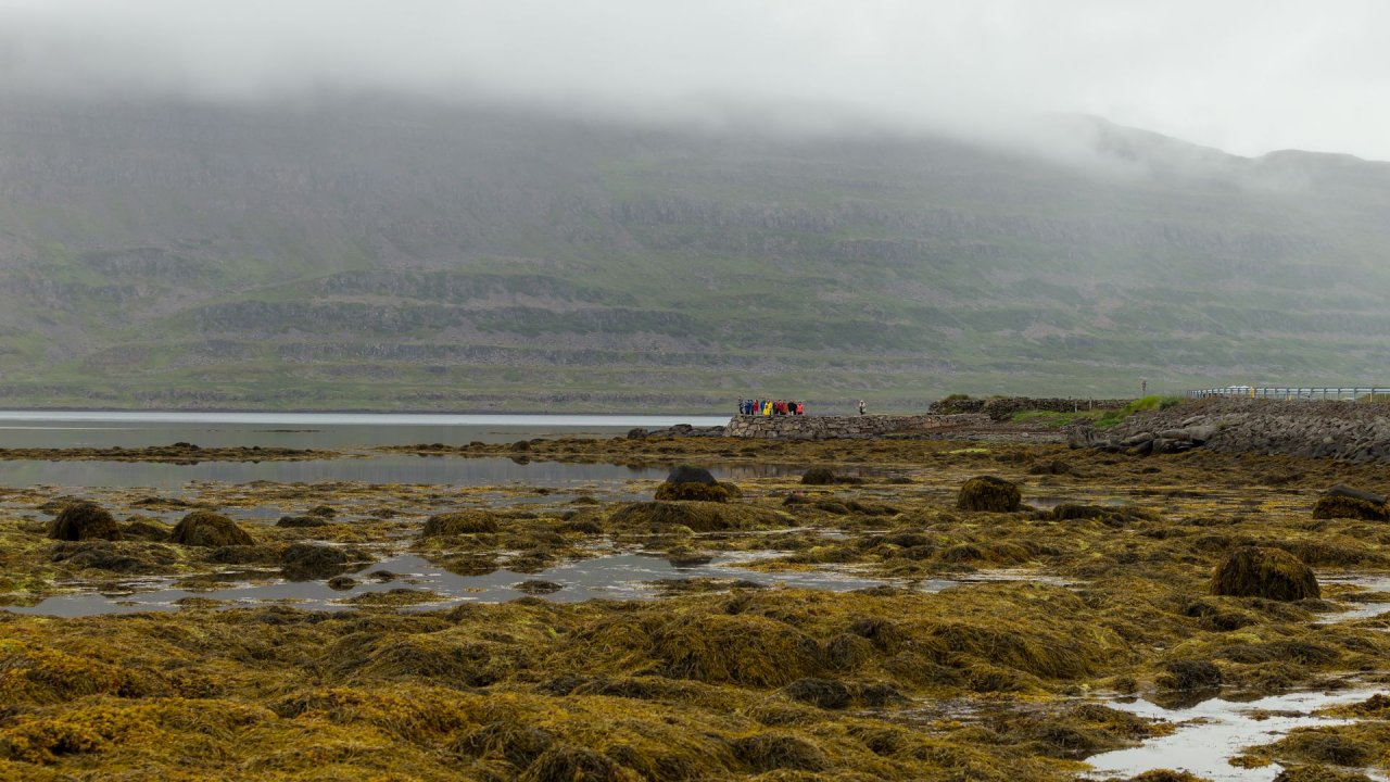 Island-2018-113
