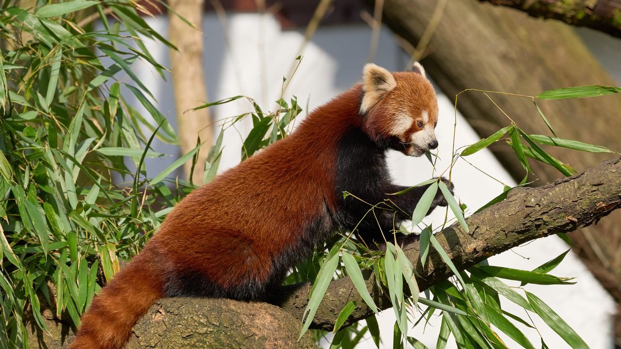 zoo duisburg 2022