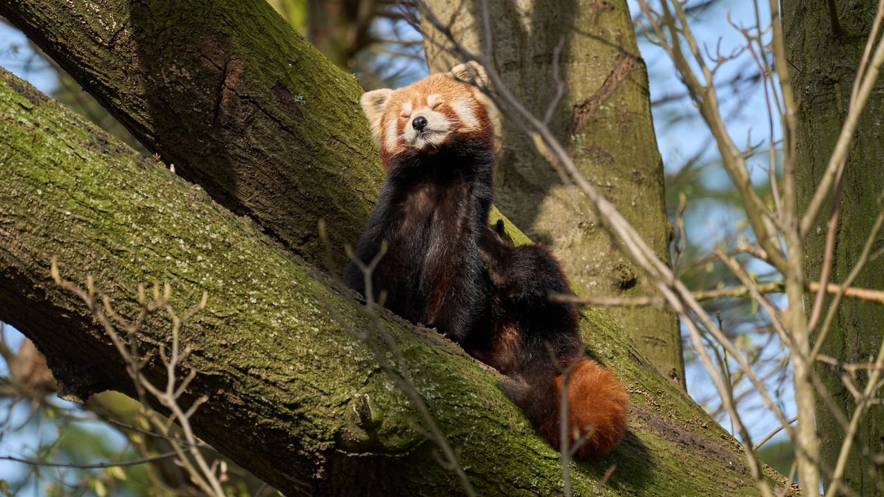 zoo duisburg 2022