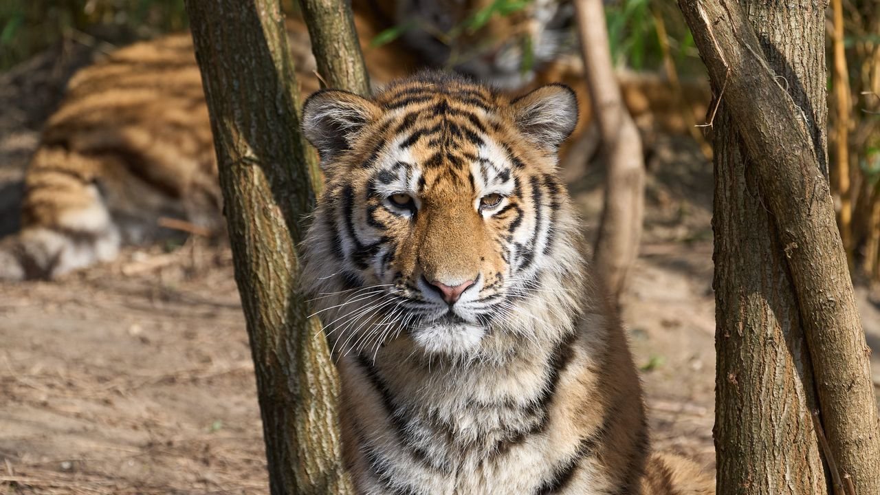 zoo duisburg 2022