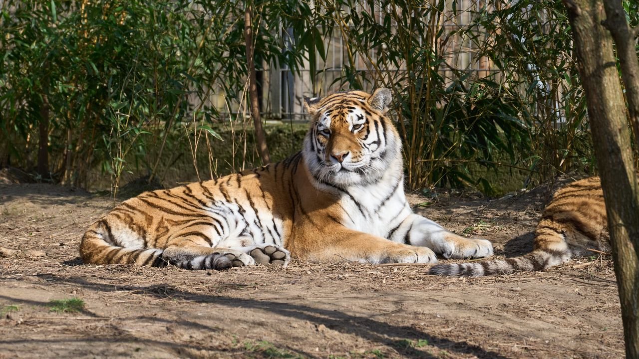 zoo duisburg 2022