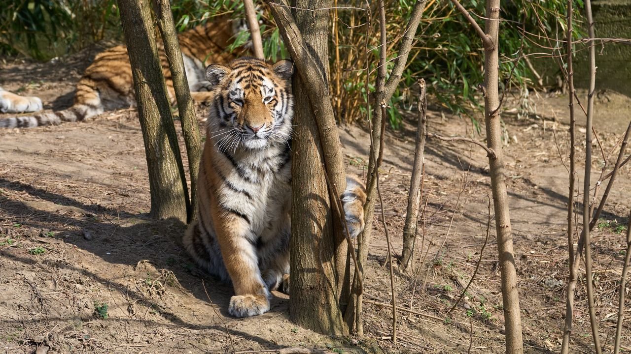 zoo duisburg 2022