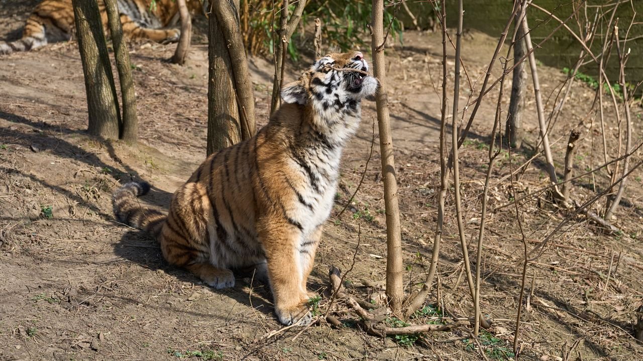 zoo duisburg 2022