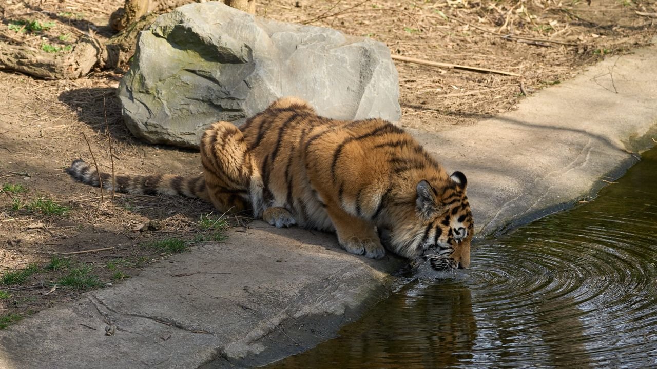 zoo duisburg 2022