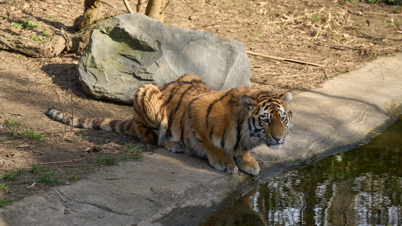zoo duisburg 2022