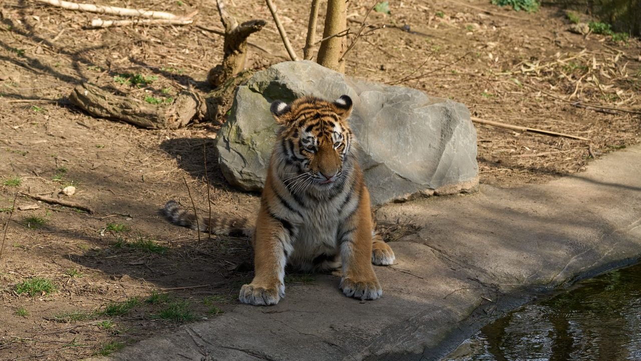 zoo duisburg 2022