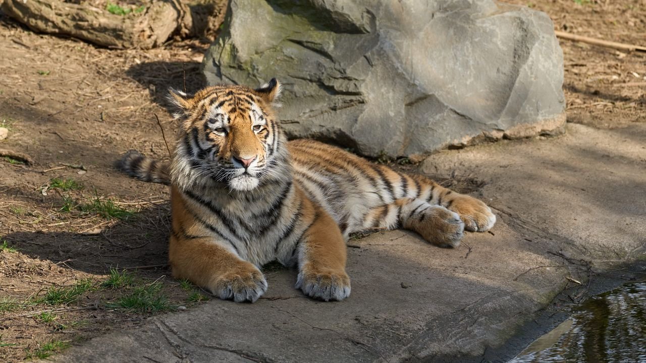 zoo duisburg 2022