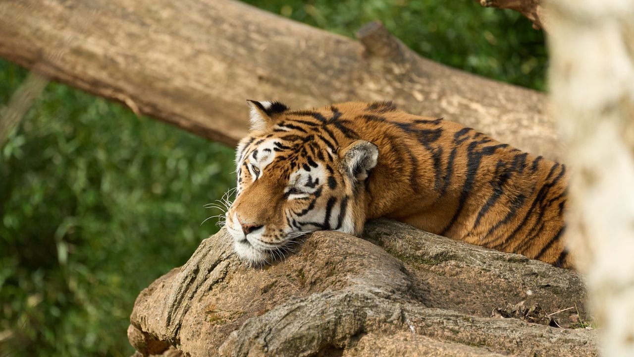 zoo duisburg 2022