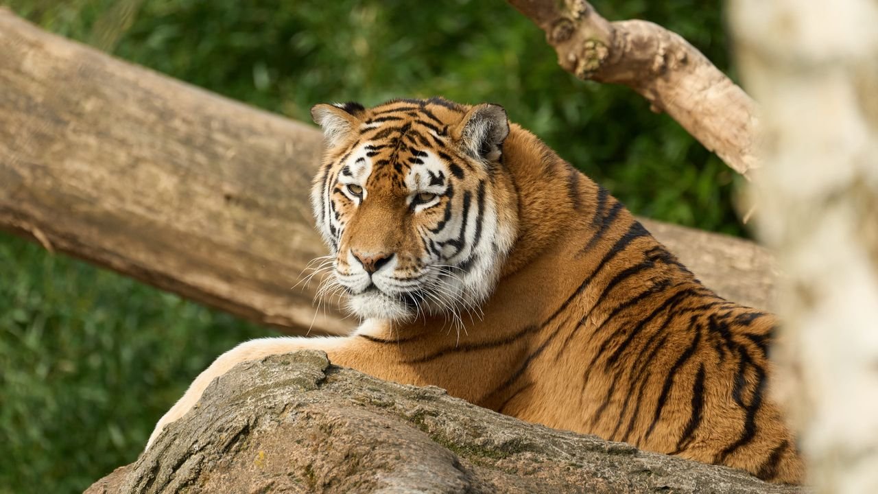 zoo duisburg 2022