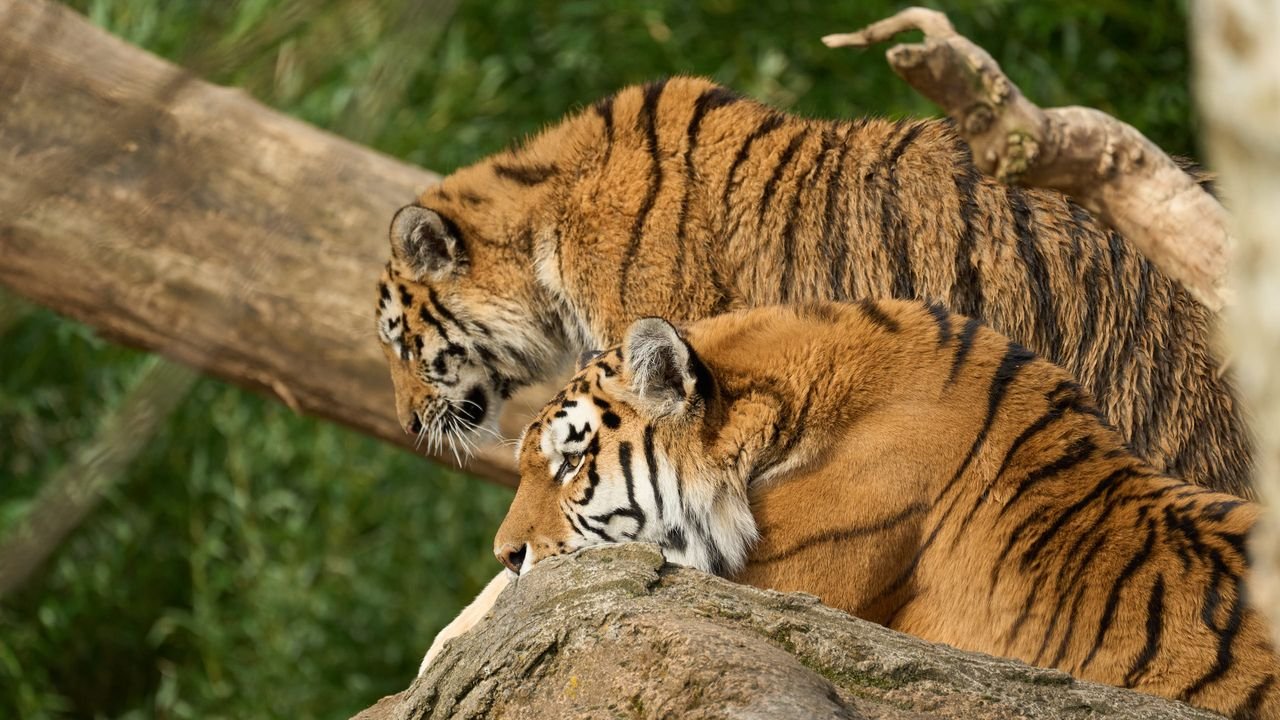 zoo duisburg 2022