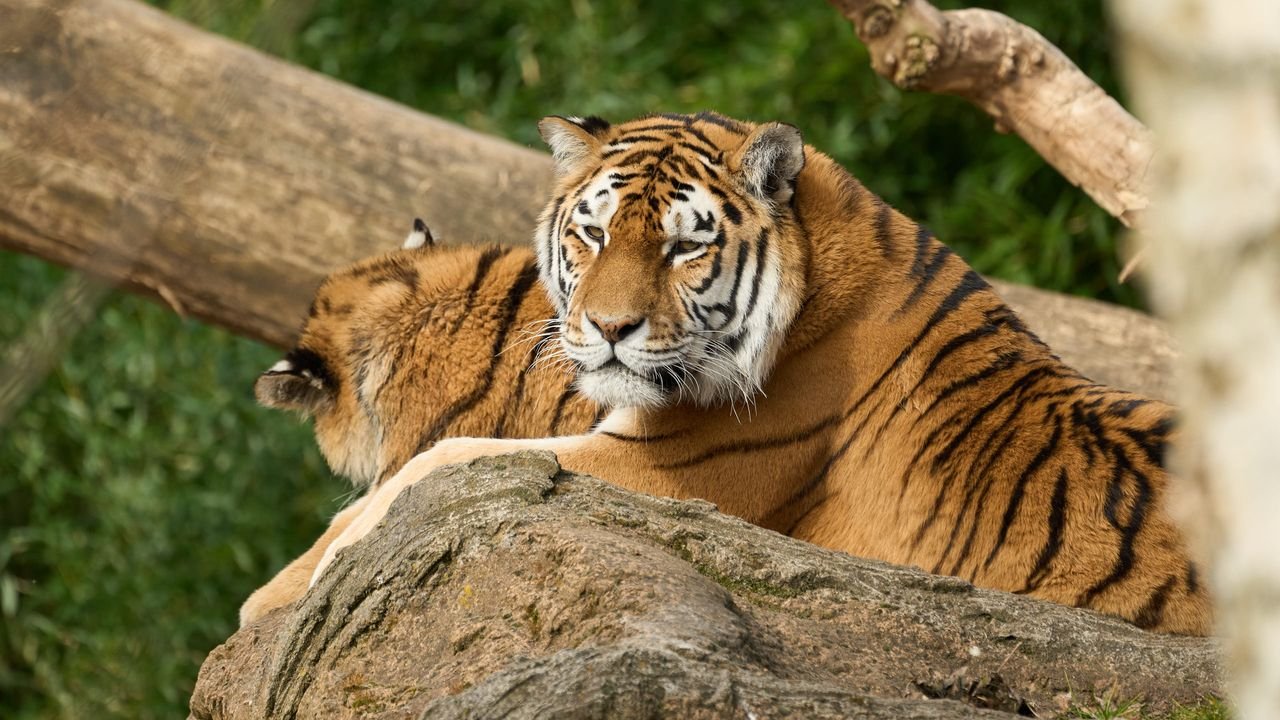 zoo duisburg 2022